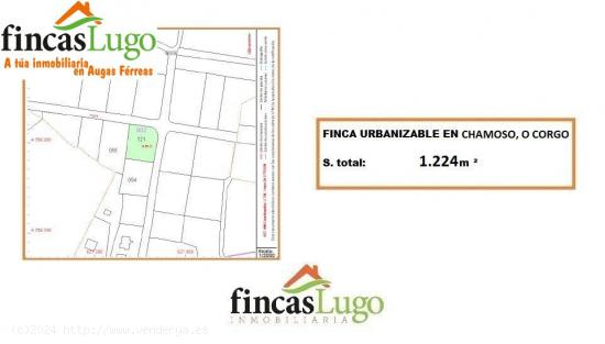  FINCA URBANIZABLE EN CHAMOSO, O CORGO - LUGO 