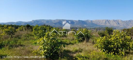 Chalet con 7 anegadas rodeado de naturaliza situado en Gandia zona Marxuquera - VALENCIA