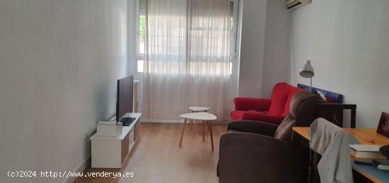 HUERTA DE ALJUCER APARTAMENTO PLANTA BAJA - MURCIA