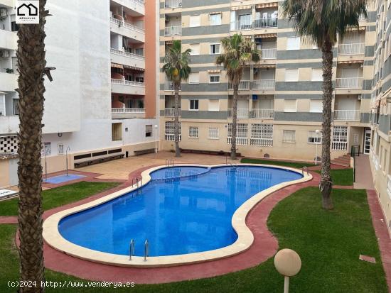 APIHOUSE VENDE ESPECTACULAR PISO EN TORREVIEJA . PRECIO 109.900€ - ALICANTE