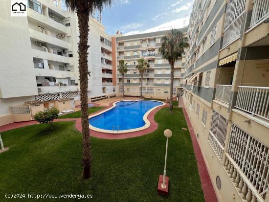 APIHOUSE VENDE ESPECTACULAR PISO EN TORREVIEJA . PRECIO 109.900€ - ALICANTE