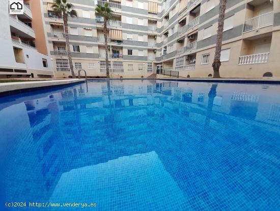 APIHOUSE VENDE ESPECTACULAR PISO EN TORREVIEJA . PRECIO 109.900€ - ALICANTE