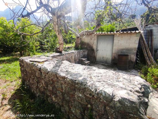  Huerto Soleado En Biniaraix NO URBANIZABLE - BALEARES 