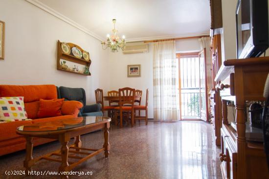 ESTUPENDO PISO CON PATIO ZONA AYUNTAMIENTO DE ELDA - ALICANTE