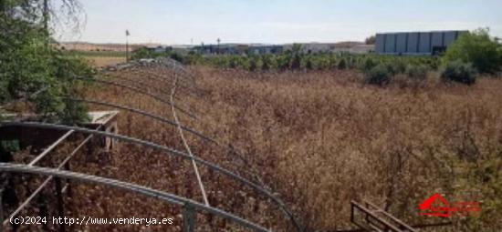 TERRENO URBANO EN EL CARPIO - CORDOBA