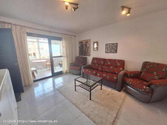 Apartamento de 1 dormitorio en Torrevieja, La Mata - ALICANTE