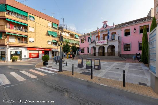 PLENO CENTRO DE PELIGROS - GRANADA