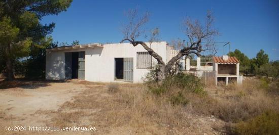  Finca con casa de campo diáfana de 104 M2 - TARRAGONA 