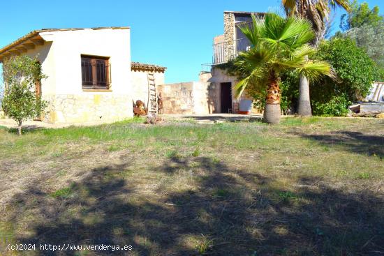  Finca rústica con casa de campo  con hermosas  vistas a la Serra de Tramuntana en Muro - BALEARES 