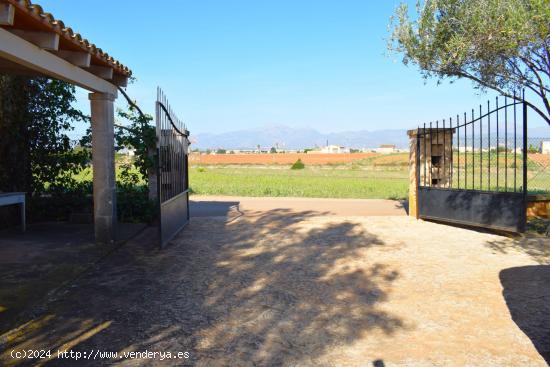 Finca rústica con casa de campo  con hermosas  vistas a la Serra de Tramuntana en Muro - BALEARES