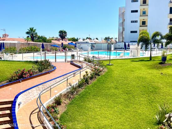 Un apartamento en alquiler para la temporada de invierno 2024/2025, máximo 6 meses - LAS PALMAS