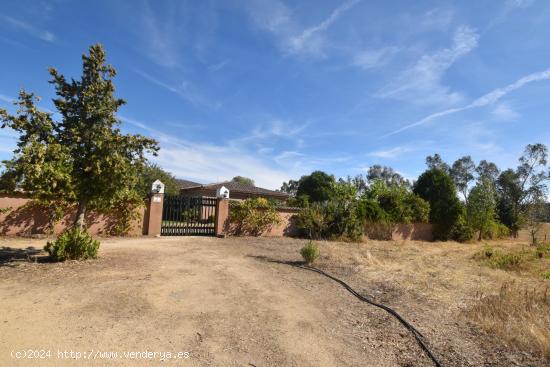 FINCA RÚSTICA CON MUCHAS POSIBILIDADES POR SUS CARACTERISTICAS Y TERRENO. - TOLEDO