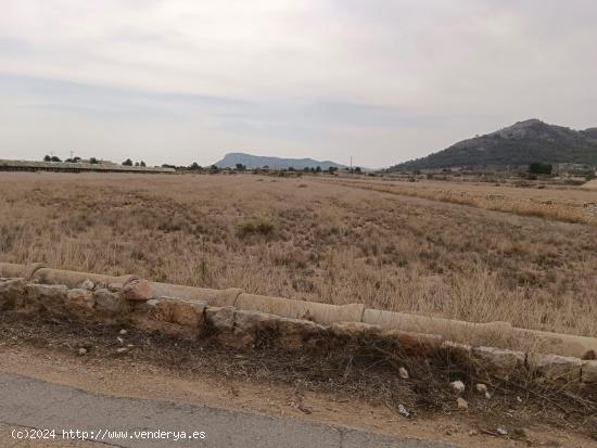 VENTA DE PARCELA EN LA ROMANA (ALICANTE) - ALICANTE