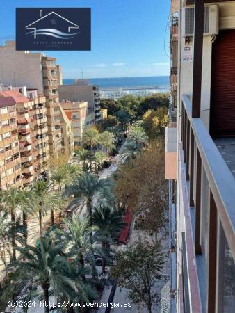 PISO EN VENTA EN PLENO CENTRO DE ALICANTE - ZONA CALVO SOTELO - ALICANTE