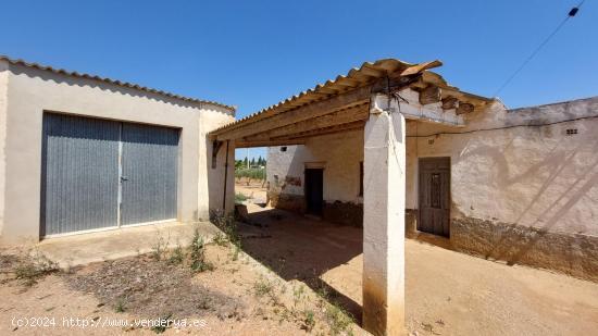 Tu Refugio Natural a un Paso de la Ciudad: ¡Transforma y Crea! - TARRAGONA