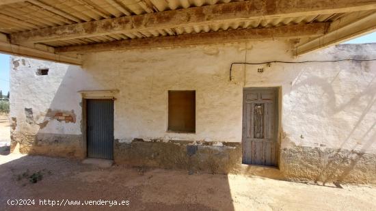 Tu Refugio Natural a un Paso de la Ciudad: ¡Transforma y Crea! - TARRAGONA