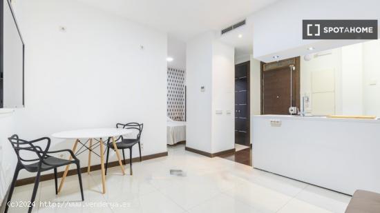 Apartamento entero de 1 habitaciones en Madrid - MADRID