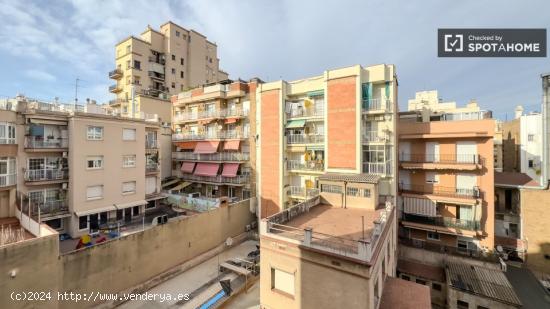 Se alquila habitación en piso de 5 habitaciones en Barcelona - BARCELONA