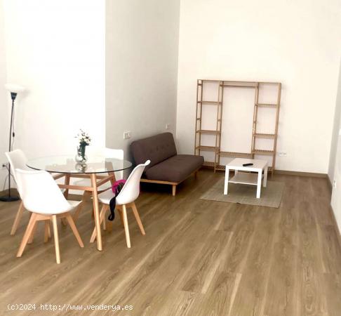  Apartamento entero de 1 dormitorio en València - VALENCIA 