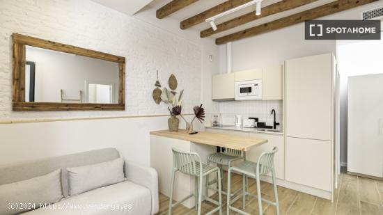 Maravilloso apartamento amueblado en Gracia - BARCELONA