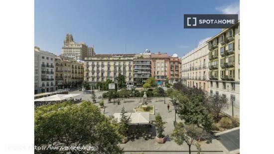 Apartamento de 2 dormitorios en alquiler en Madrid - MADRID