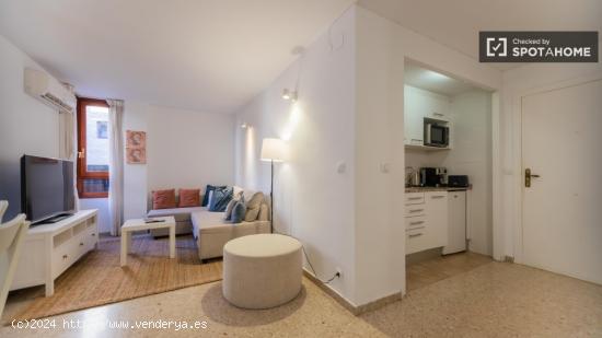 Elegante apartamento de 1 dormitorio en Ciutat Vella, Valencia - VALENCIA