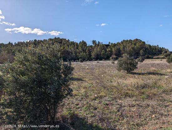 Se Vende en Arens de Lledo - TERUEL