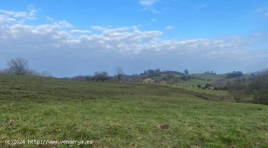 ¡Gran Oportunidad de Inversión en Ribadedeva! - ASTURIAS