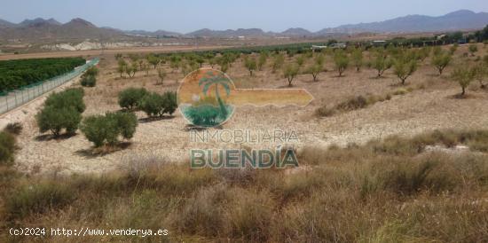 TERRENO RUSTICO A POCA DISTANCIA DE MAZARRÓN. - MURCIA