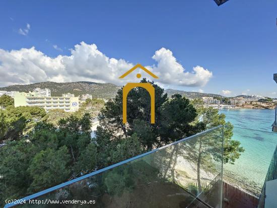  Apartamento de cuatro habitaciones en venta zona Palmanova - BALEARES 