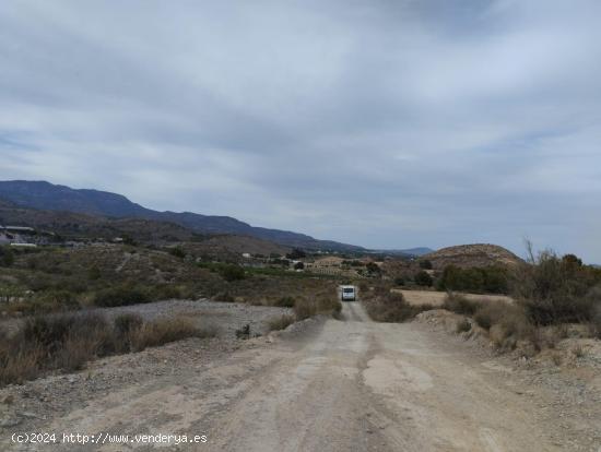 Terreno Rural - Totana - MURCIA