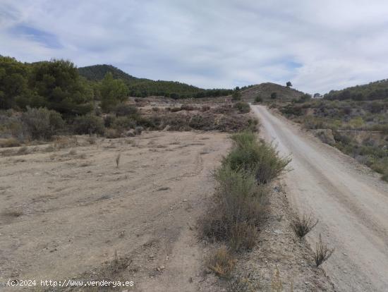 Terreno Rural - Totana - MURCIA