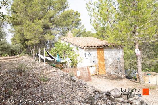 FINCA RUSTICA CON CASA EN VENTA EN LA GALERA (TARRAGONA) - TARRAGONA