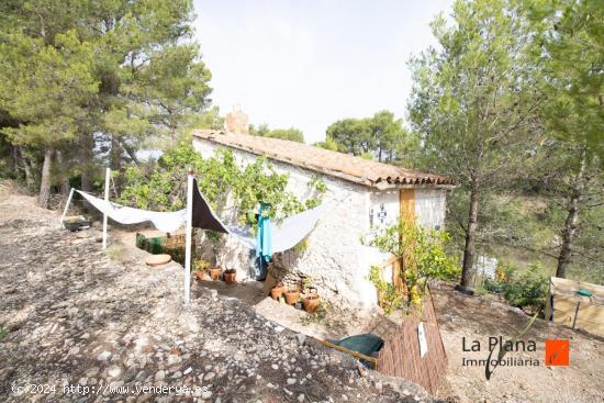 FINCA RUSTICA CON CASA EN VENTA EN LA GALERA (TARRAGONA) - TARRAGONA