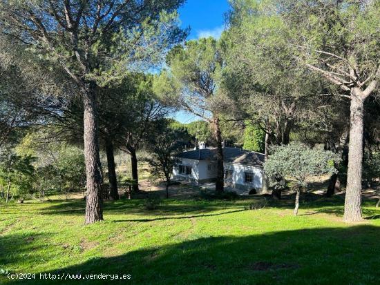  Casa con terreno en la sierra de Andújar(Jaén):  CASA DE CAMPO CON ENCANTO EN LA ALCAPARROSA  - JA 