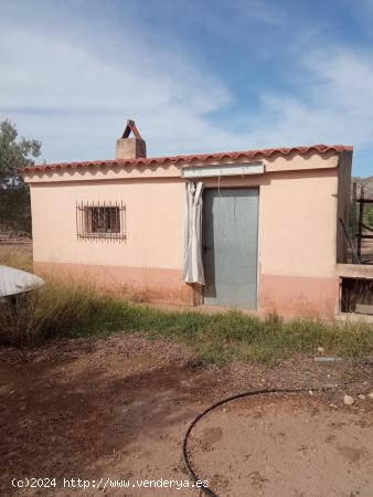 Parcela todo vallada con arboles de olivos en producción y casa de apero - ALICANTE