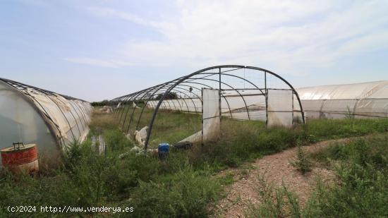 Finca con vivienda, pozo y luz - CASTELLON