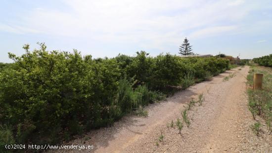 Finca con vivienda, pozo y luz - CASTELLON