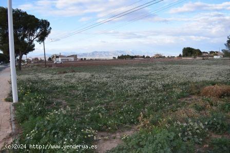 Parcela edificable en la antigua carretera de Águilas (Purias) - MURCIA