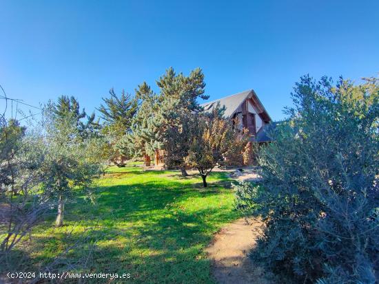 Casa con encanto, terreno y piscina en la zona El Campillo, en Lorca - MURCIA