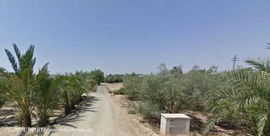  VENTA DE SUELO RUSTICO CREVILLENTE - ALICANTE 