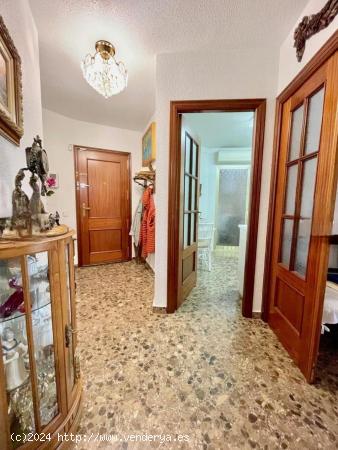 SE VENDE PISO EN EL CENTRO DE BENIDORM / 232.000.- € / CONTACTO 660059919 - ALICANTE