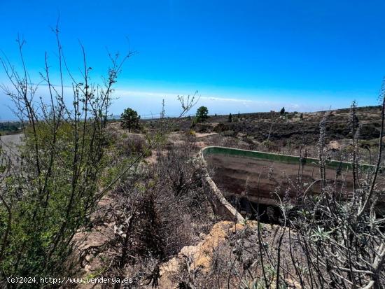  Bonito terreno en Las Cabezadas, Fasnia. - SANTA CRUZ DE TENERIFE 