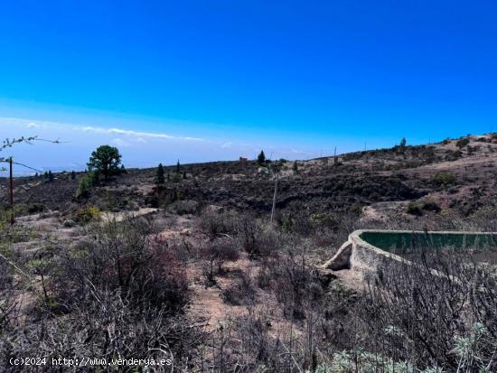 Bonito terreno en Las Cabezadas, Fasnia. - SANTA CRUZ DE TENERIFE