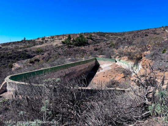 Bonito terreno en Las Cabezadas, Fasnia. - SANTA CRUZ DE TENERIFE