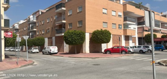  Local comercial de Obra Nueva en Alquiler en Loma De Cuenca Málaga 