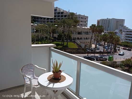 Apartamento en Alquiler en Playa Del Ingles Las Palmas