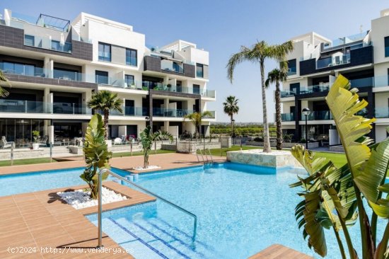  Apartamento en Venta en Guardamar Del Segura Alicante 