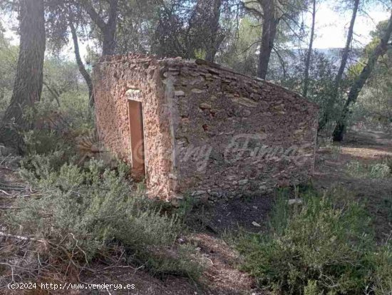 Suelo rústico en Venta en Biar Alicante