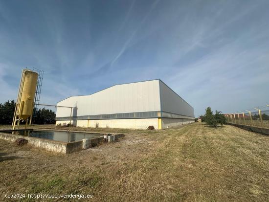 GEA Inmobiliaria vende Nave Industrial en Pitillas - NAVARRA